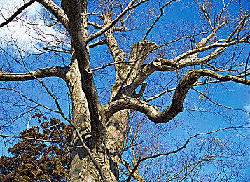 DNF魂Like游戏《Project AK》开发中 登陆主机